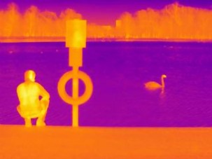 Thermal photo of a swan at Hyde Park