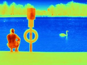 Thermal photo of a swan at Hyde Park