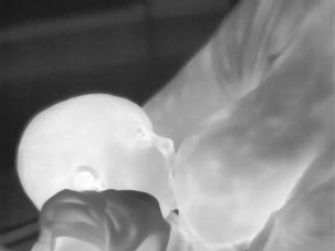 greyscale thermal photo of breastfeeding